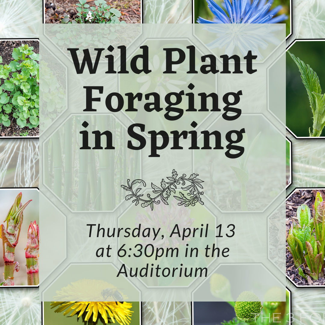 Wild Plant Foraging in Spring Thursday, April 13  at 6:30pm in the Auditorium