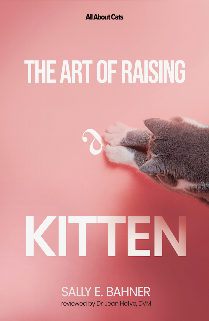 The Art of Raising a Kitten book cover. Pink with picture of grey kitten