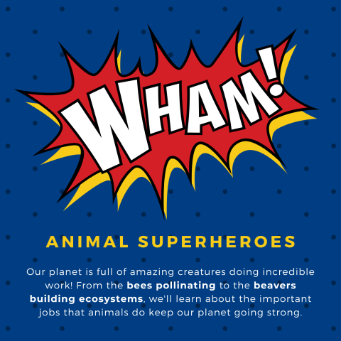 ANIMAL SUPERHEROES