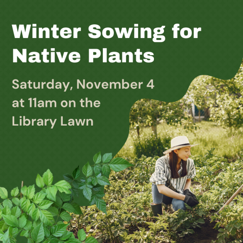 Winter Sowing for Native Plants Saturday, November 4 at 11am on the  Library Lawn