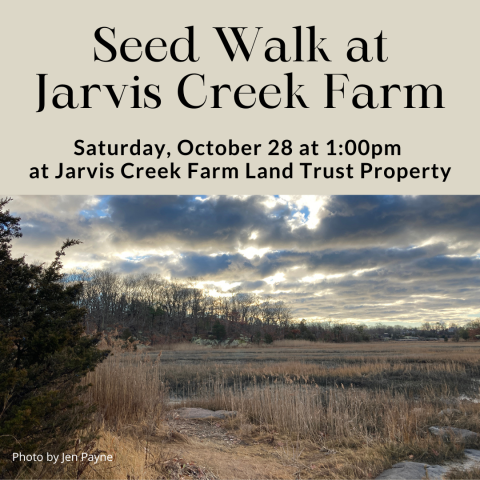 Seed Walk at Jarvis Creek Farm Saturday, October 28 at 1:00pm at Jarvis Creek Farm Land Trust Property