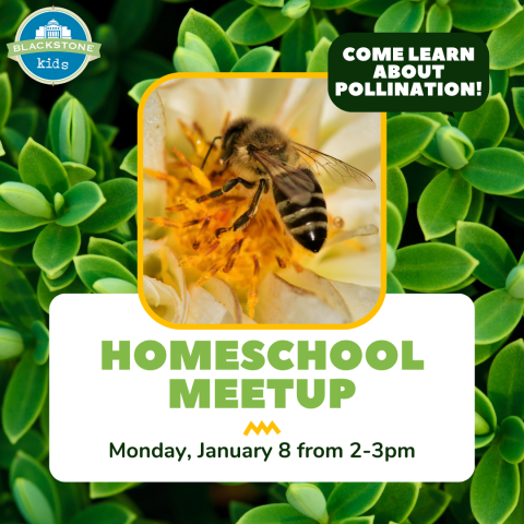 Homeschool Meetup