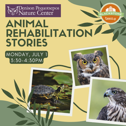 Animal Rehabilitation Stories