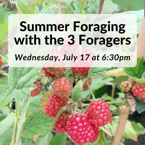 Summer Foraging with the 3 Foragers Wednesday, July 17 at 6:30pm
