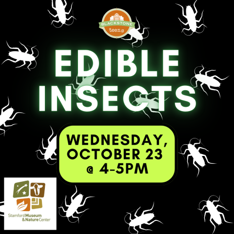 Edible Insects