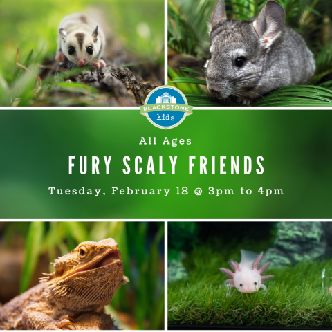 Fury Scaly Friends for All Ages Tuesday, February 18 at 3 to 4 pm