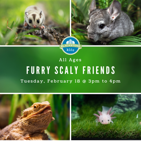 Furry Scaly Friends for All Ages Tuesday, February 18 at 3 to 4 pm