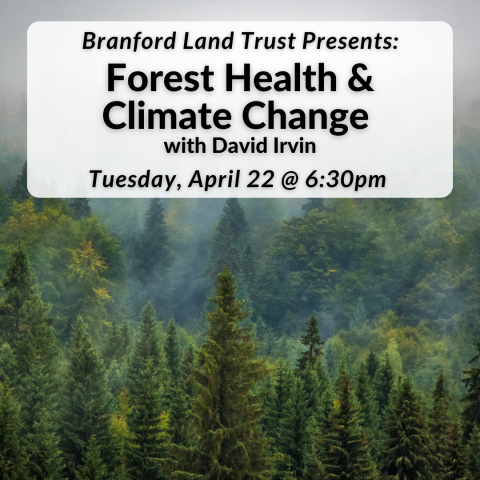 Branford Land Trust Presents: "Forest Health & Climate Change" on Tuesday, April 22nd at 6:30pm.