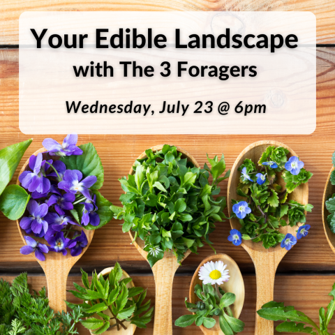 Your Edible Landscape with The 3 Foragers on Wednesday, July 23rd at 6pm.