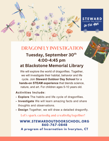 Dragonfly Investigation Tuesday, September 30 at 4pm to 4:45pm
