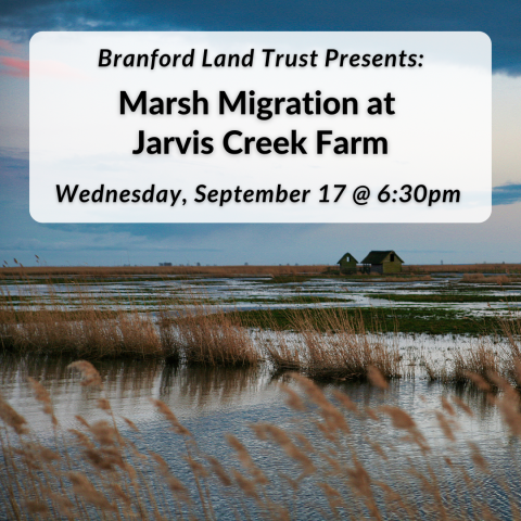 Branford Land Trust Presents: Marsh Migration at Jarvis Creek Farm on Wednesday, September 17th at 6:30pm.