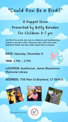 Could Roxi be a bird? Saturday, December 6 at 2pm