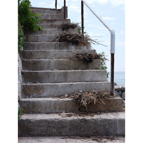 "Photographs of Little Gull Island" Artist Gallery Display for November and December