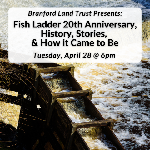 Branford Land Trust Presents: Fish Ladder, 20th Anniversary, History, Stories, and How It Came To Be on Tuesday, April 24th at 6pm