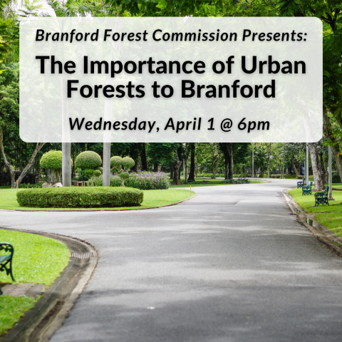 Branford Forest Commission Presents: The Importance of Urban Forests to Branford on Wednesday, April 1st at 6pm