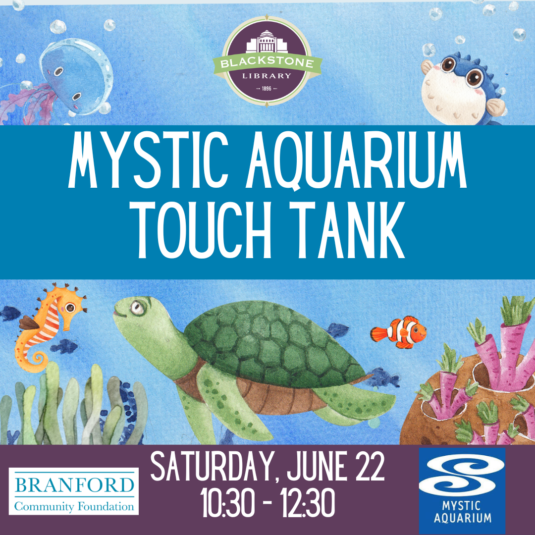 Touch Tank