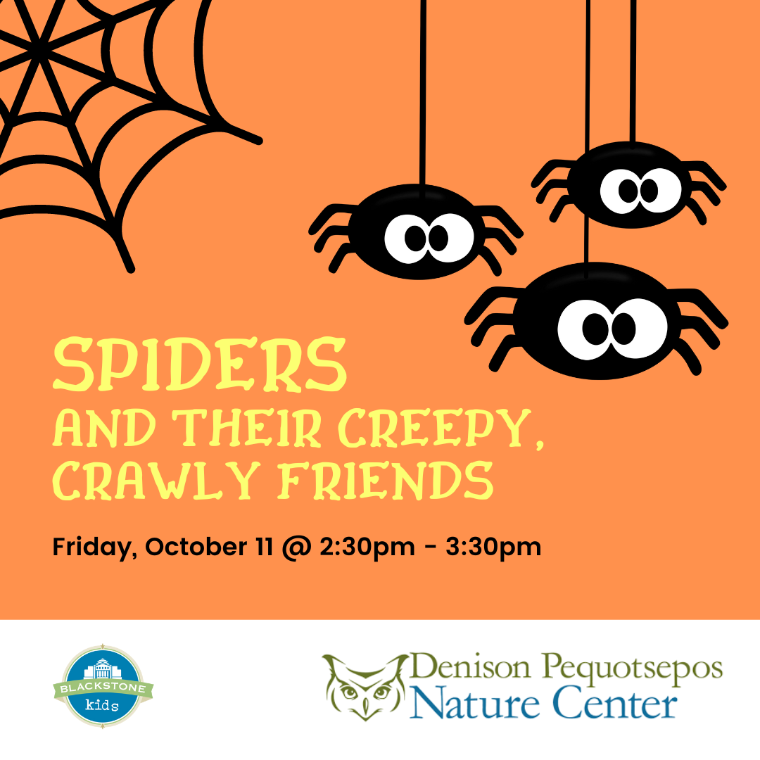 Spiders and their creepy crawly friends Friday, October 11