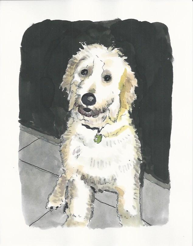 Robert Jawitz "Animal Portraiture" Artist Gallery Display for July and August