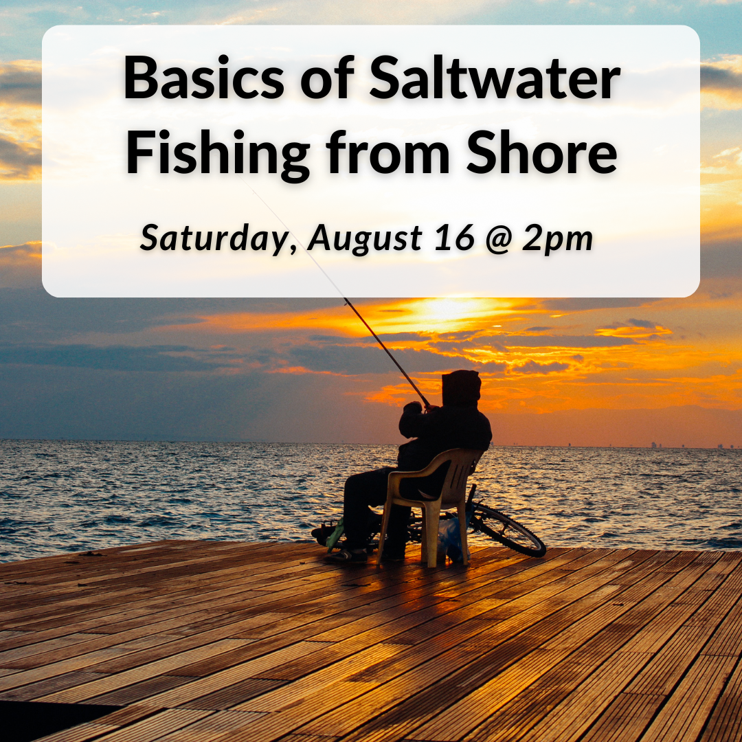 Basics of Saltwater Fishing from Shore on Saturday, August 16th at 2pm.