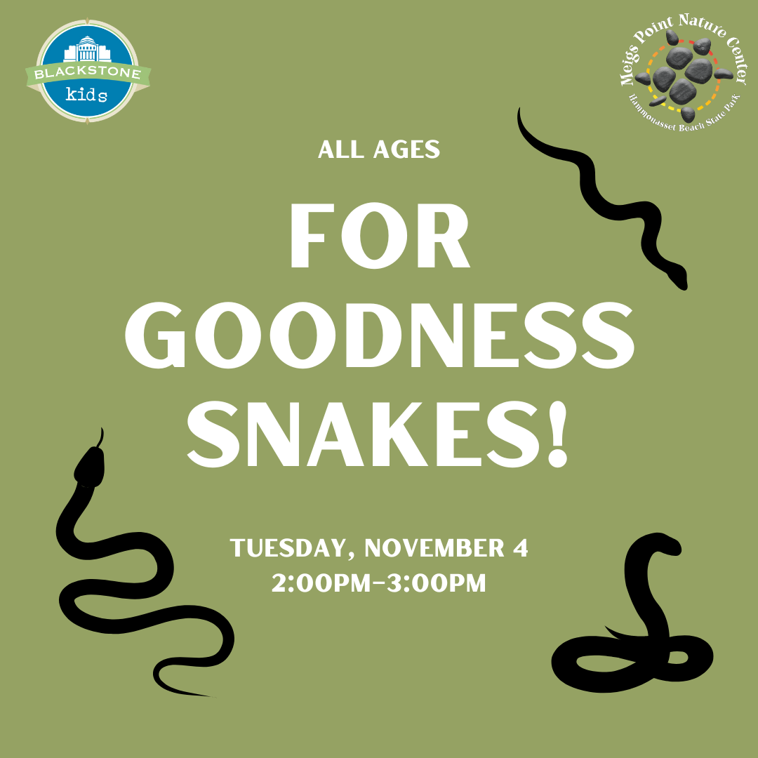 For Goodness Snakes! Tuesday, November 4 @ 2 to 3pm