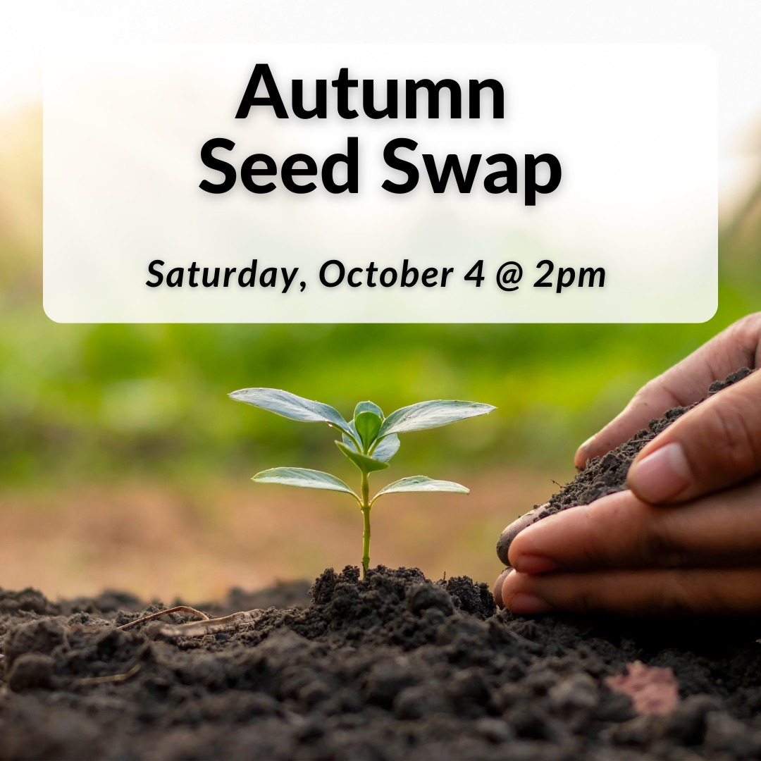 Autumn Seed Swap on Saturday, October 4th at 2pm